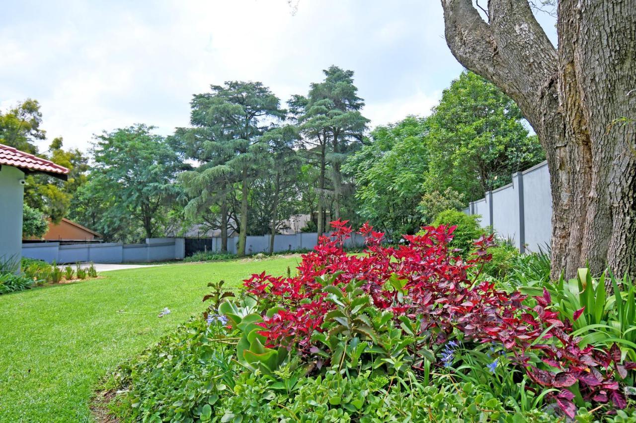 Zwelakho Furnished Apartments The Cube ヨハネスブルグ エクステリア 写真